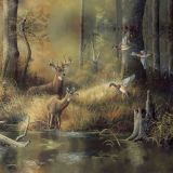 Deer-Jungle.jpg