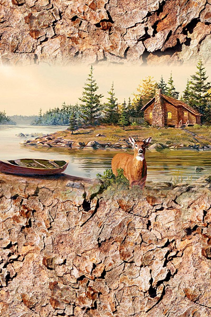 Deer River 23