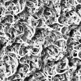 Deer-Skulls-33-thumb.jpg