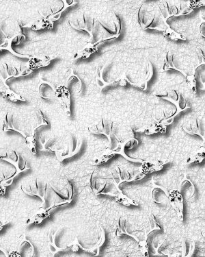 Deer Skulls 34
