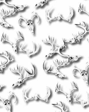 Deer Skulls 36
