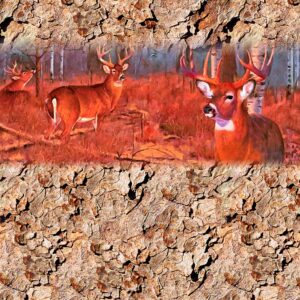 Deer Woods 24