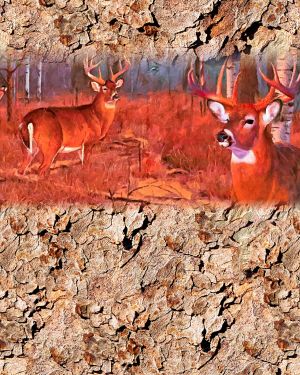 Deer Woods 24