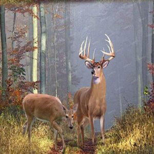 Deer in the Woods 22