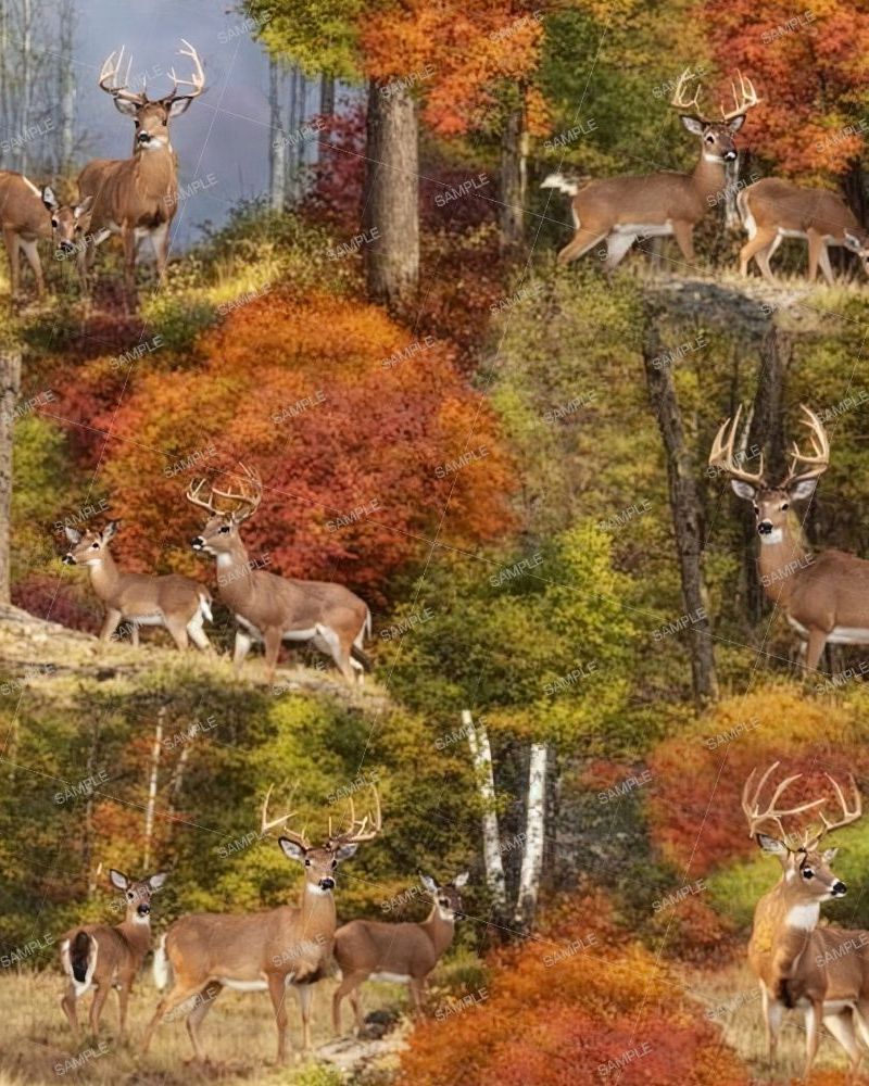 Deer in the Woods Painting 43
