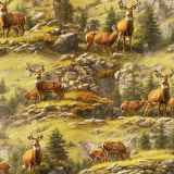 Deer-on-the-Mountain.jpg