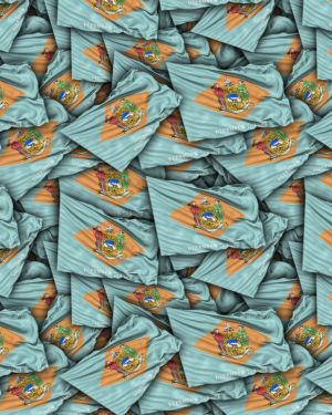 Delaware State Flag