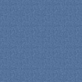 Denim.jpg