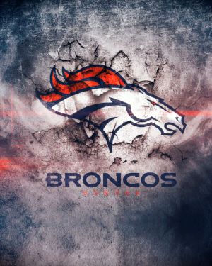 Denver Broncos 23 11×16