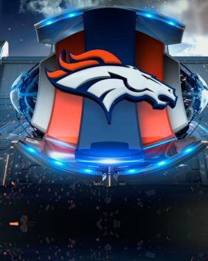 Denver Broncos 24 11×16
