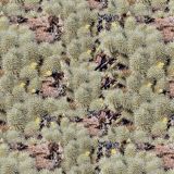 Desert-Bear-Camo.jpg