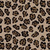 Desert-Jaguar.jpg