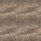 Desert-Lichen-24-Camo.jpg