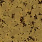 Desert-Rat-30-Camo.jpg