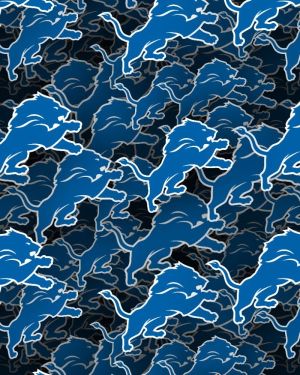 Detroit Lions 22
