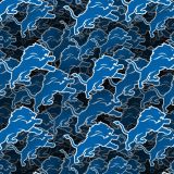 Detroit-Lions-22.jpg