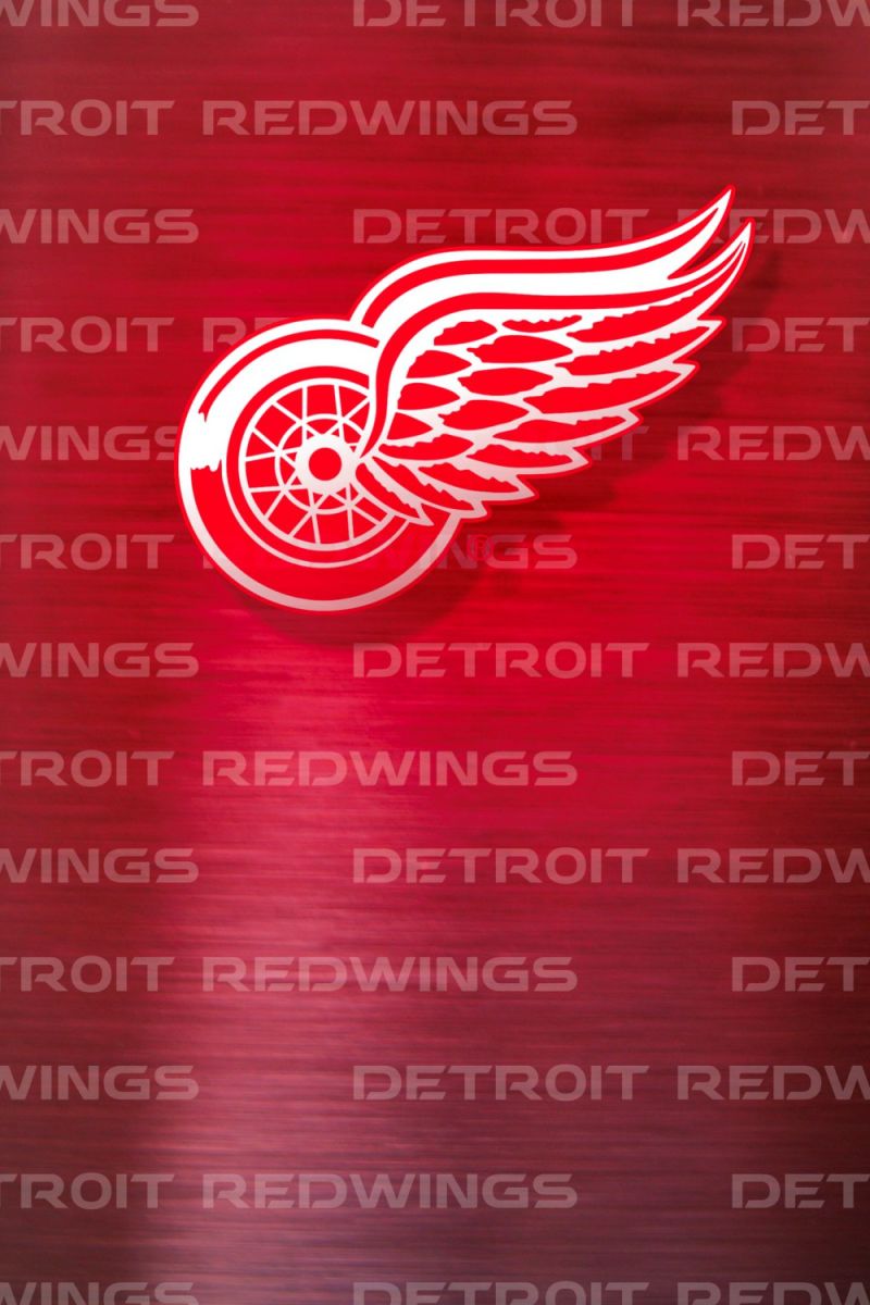 Detroit Redwings 11×16