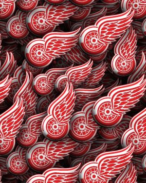 Detroit Redwings 22