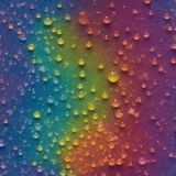 Dew-on-a-Rainbow.jpg