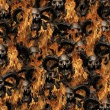 Diablo-Fire-Skulls.jpg
