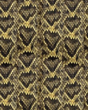 Diamondback Rattlesnake Skin