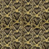Diamondback-Rattlesnake-Skin.jpg