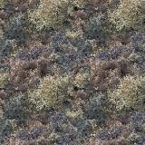 Digital-23-Camo.jpg