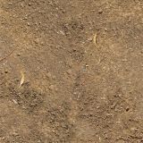 Dirt-22.jpg
