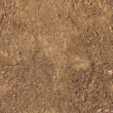 Dirt-23.jpg