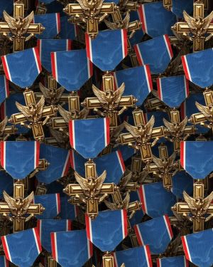 Distinguished Service Cross
