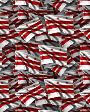 District of Columbia Flag
