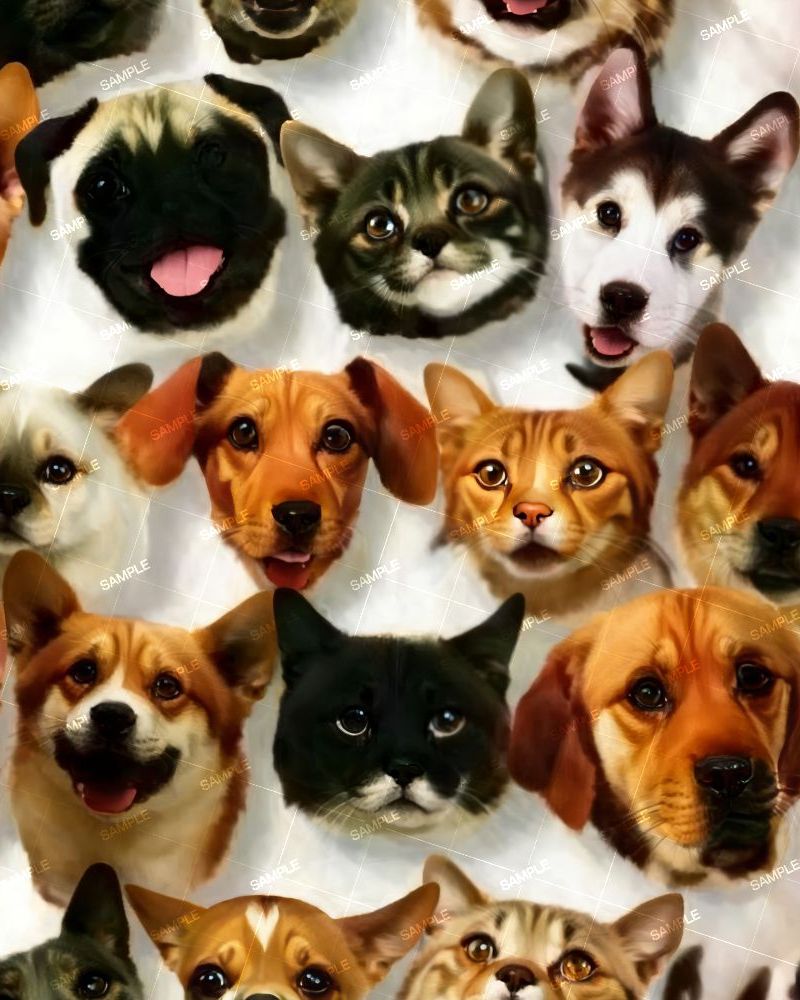 Dog and Cat Faces