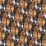 Dogs-22.jpg
