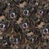 Dogs-23-thumb.jpg