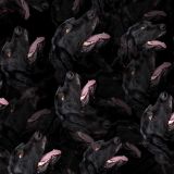 Dogs-24-thumb.jpg