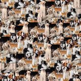 Dogs-26.jpg