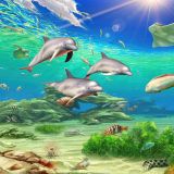 Dolphins-11x16-1.jpg