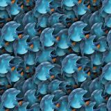 Dolphins-26.jpg