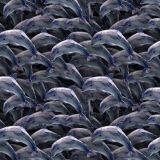 Dolphins-27.jpg