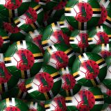 Dominica-Soccer-Balls.jpg