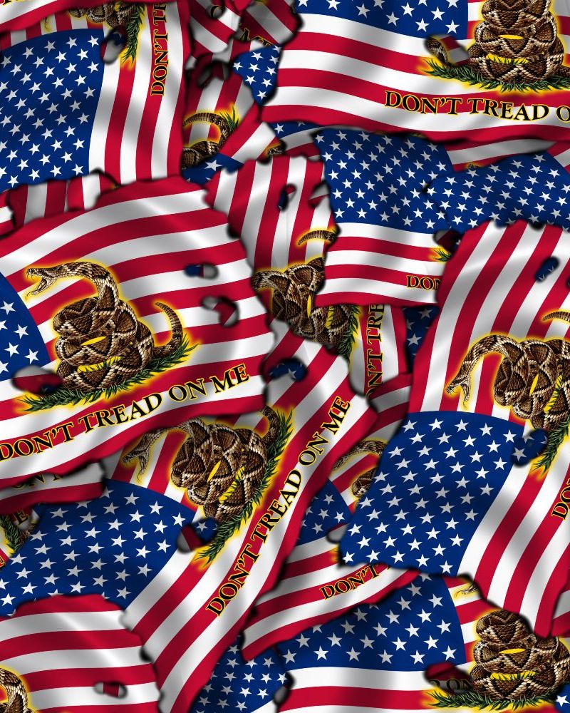 Dont Tread on Me Burnt US Flag 23