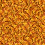 Dorritos-22.jpg