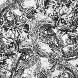 Dragon-Fight-22.jpg