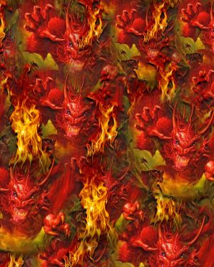 Dragon Fire 22