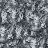Dragon-Fire-23-thumb-scaled-1.jpg