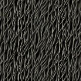 Dragon-Fur-22.jpg