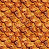 Dragon-Scales-22.jpg