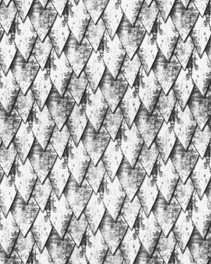 Dragon Scales 24