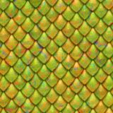 Dragon-Scales-25.jpg