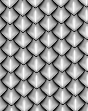 Dragon Scales 36